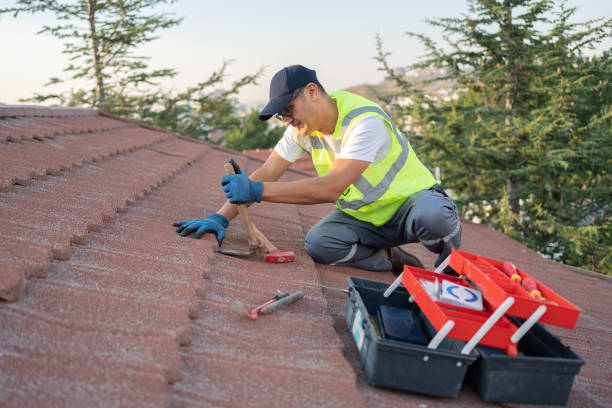 Best Roof Gutter Cleaning  in Madeira Beach, FL