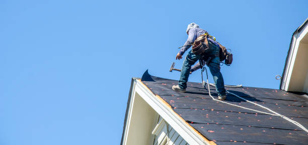 Roof Gutter Cleaning in Madeira Beach, FL